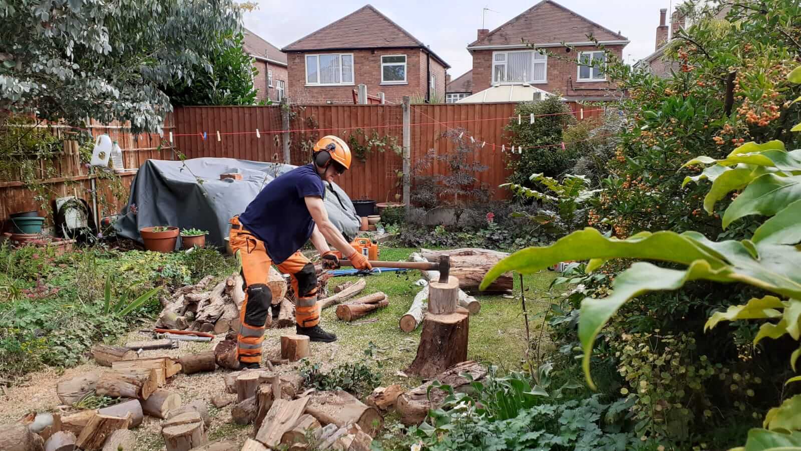 Tree surgeon climbing