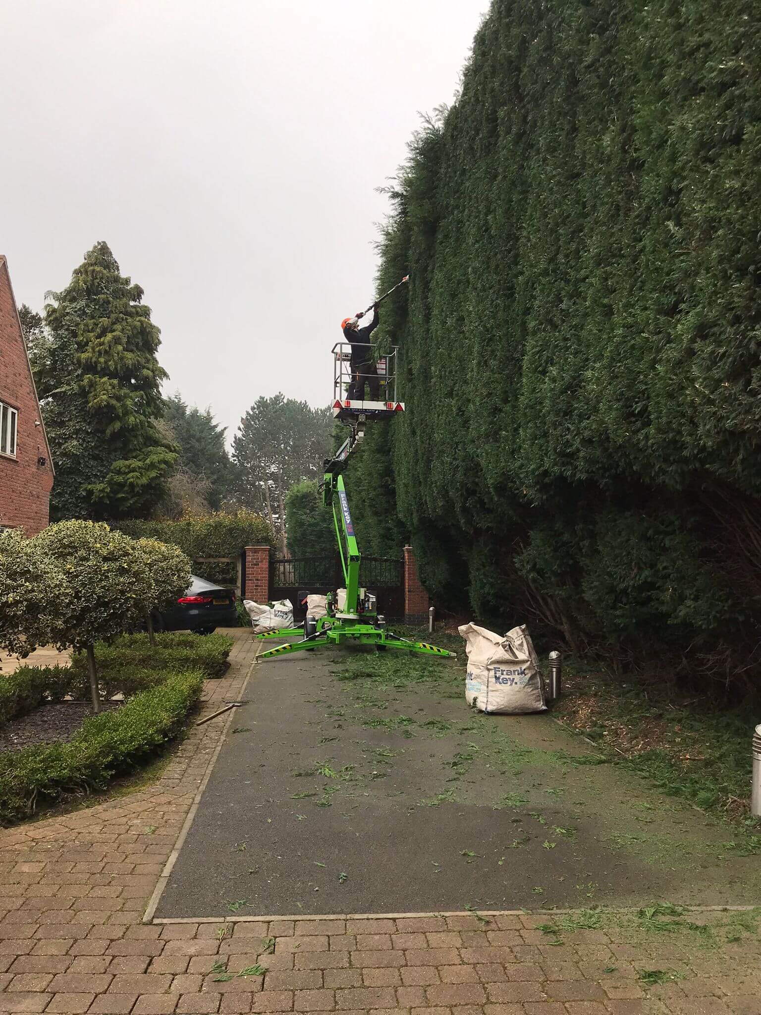 Complete tree services